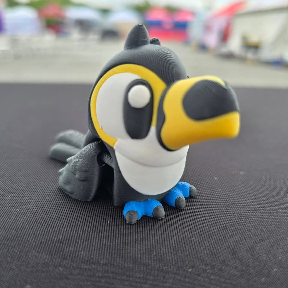 Toucan