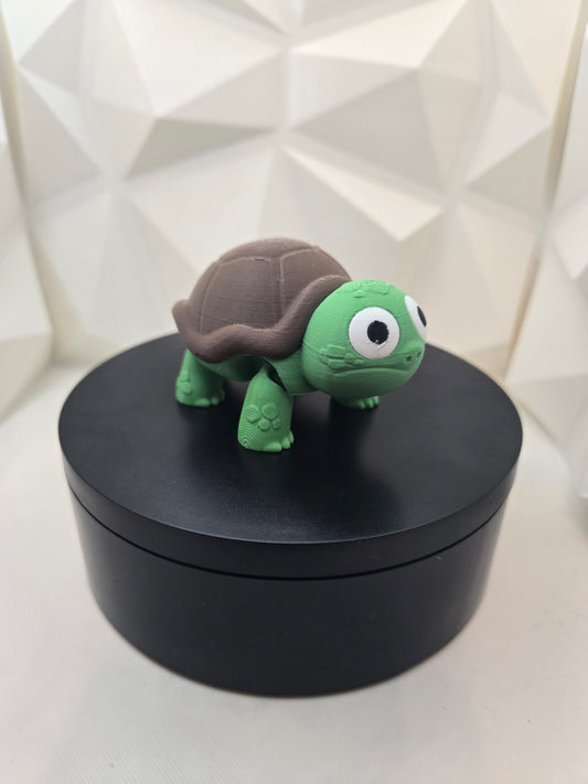 Standup - Turtle