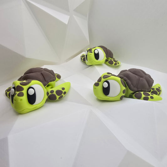 Sea Turtle