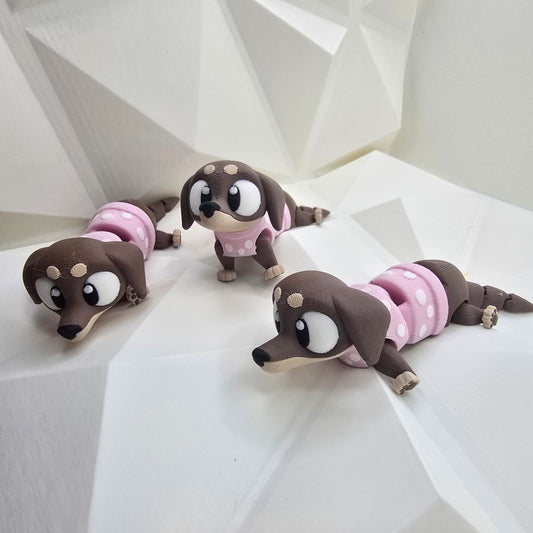 Dachshund