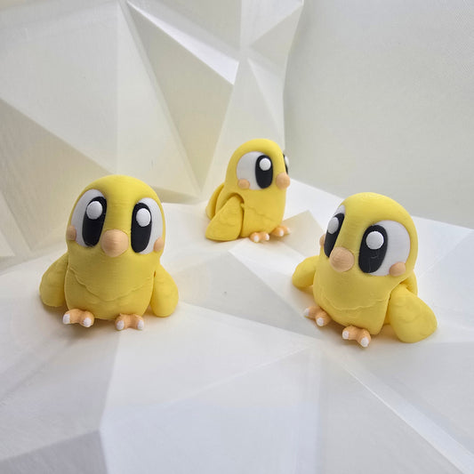 Bird