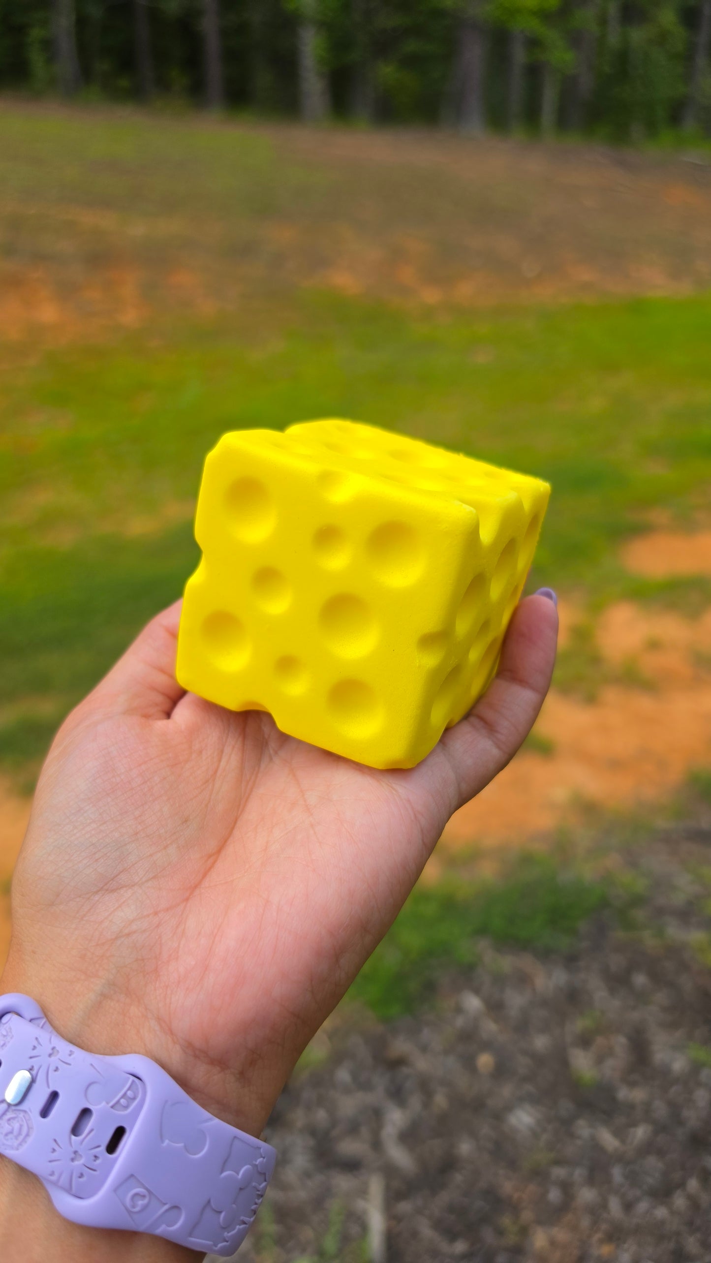 Cheese Squishy Cube