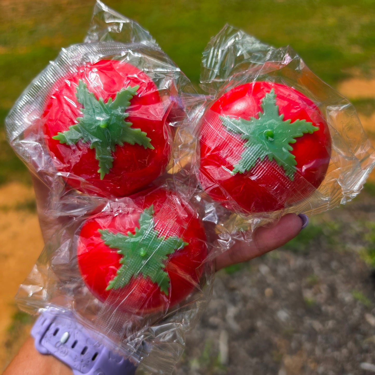 Tomato Squishy