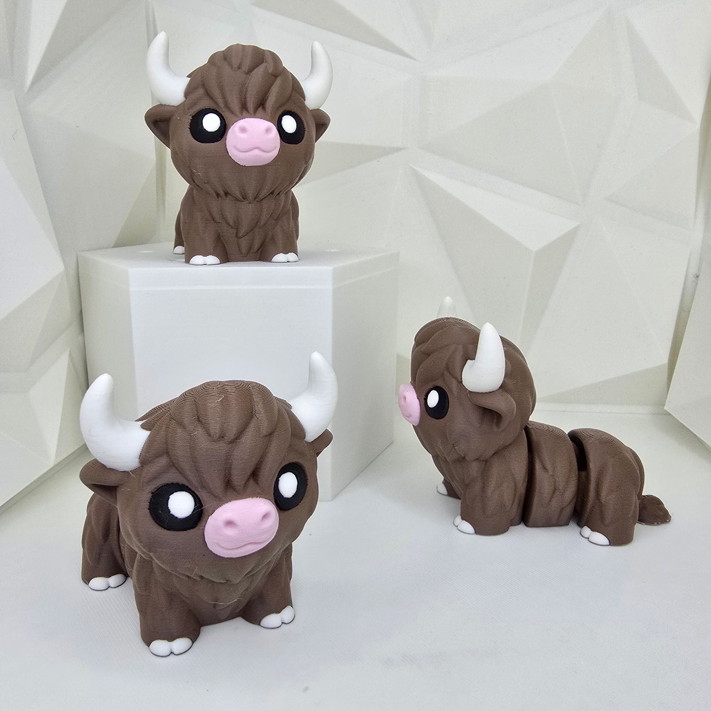 Highland Cow