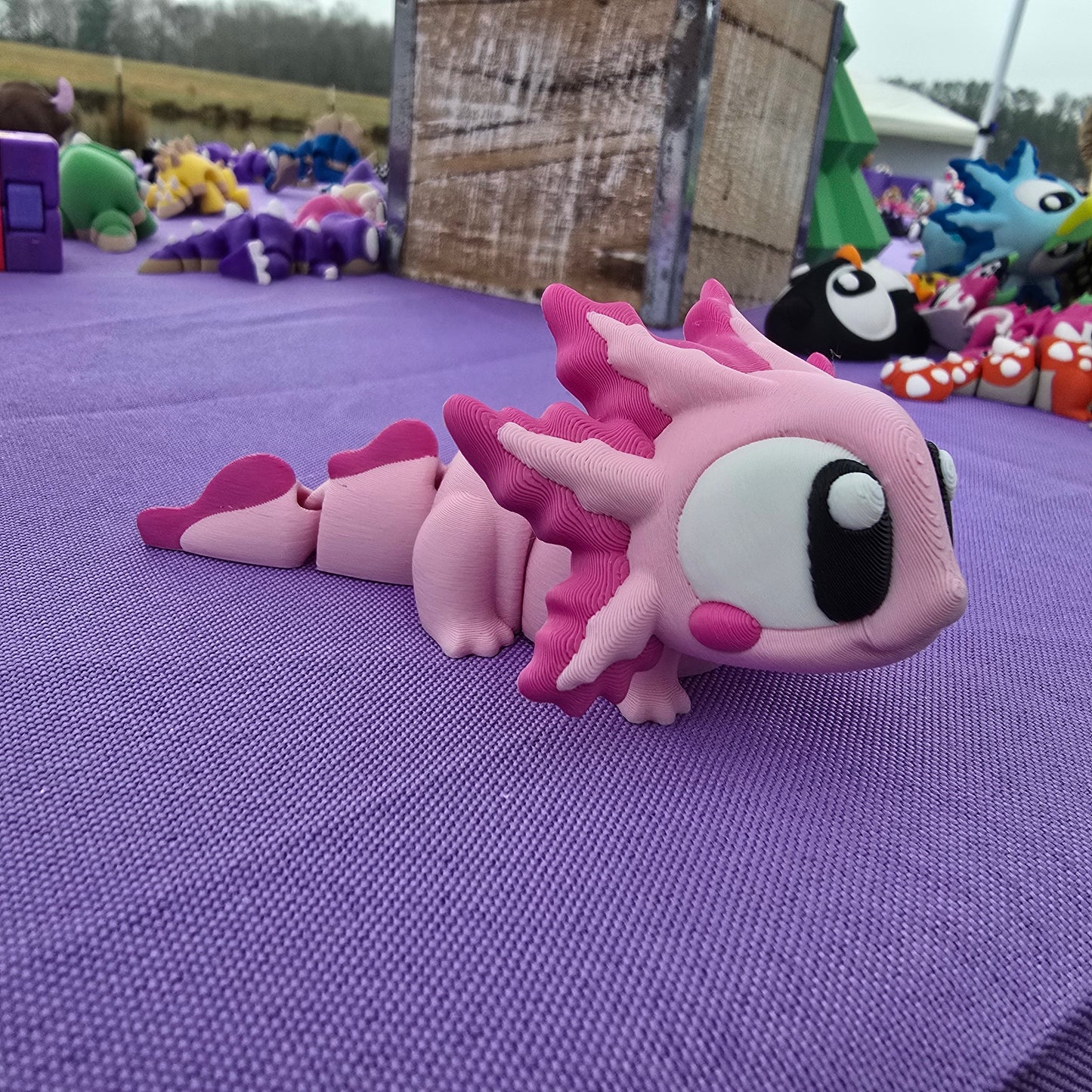 Axolotl