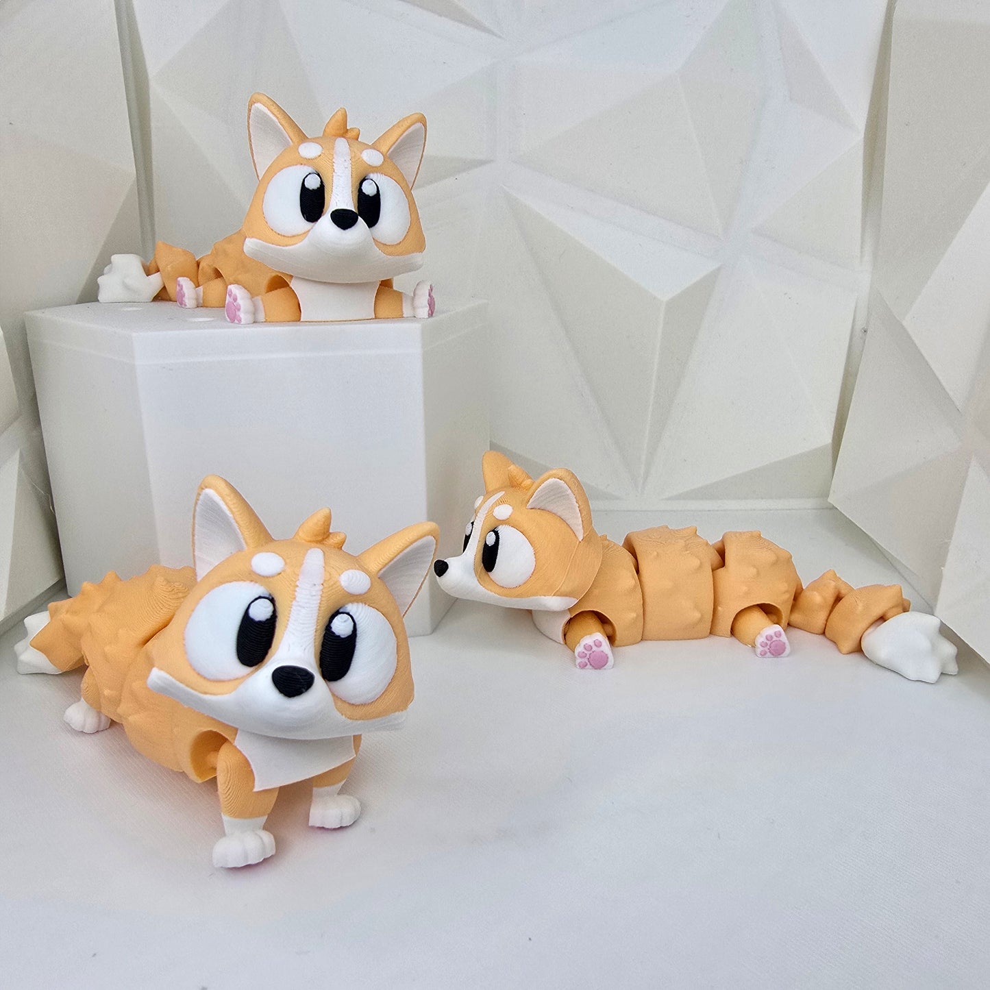 Corgi