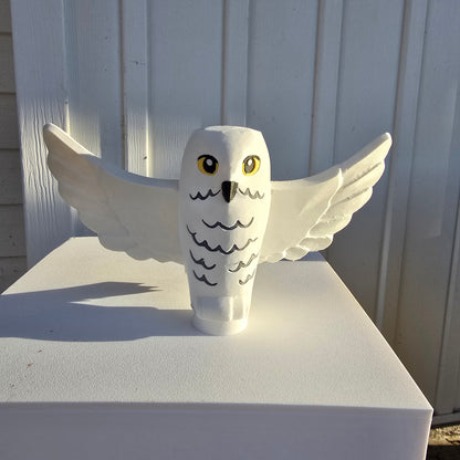 HP - Wizard Boy's Owl