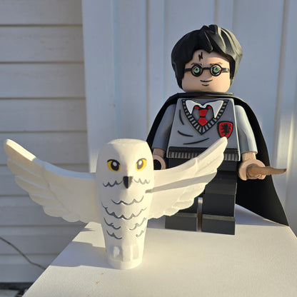 HP - Wizard Boy