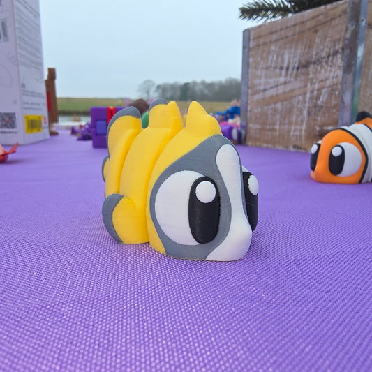 Rabbit Fish
