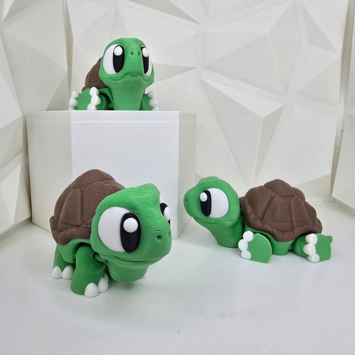 Tortoise