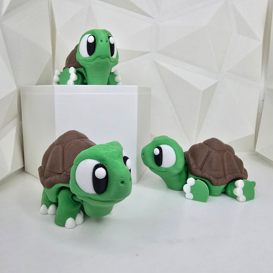 Tortoise